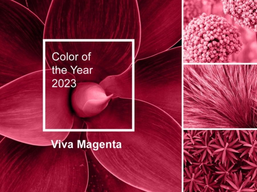 Цвет 2023 года от Института Pantone. Оттенки красного в интерьере спальни.