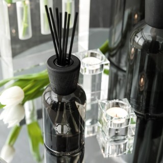 Aromatic diffuser MAXIMA    