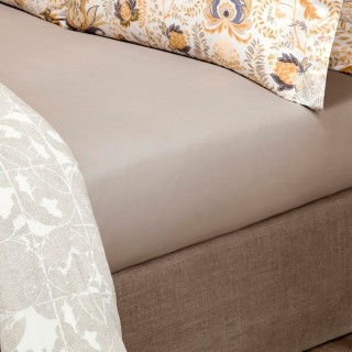 Sheet ALDO