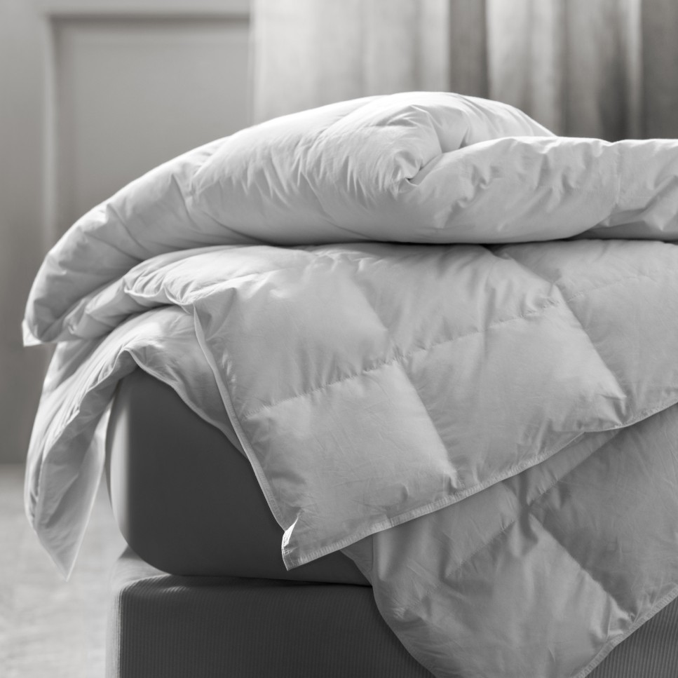 Where can i online buy a comforter