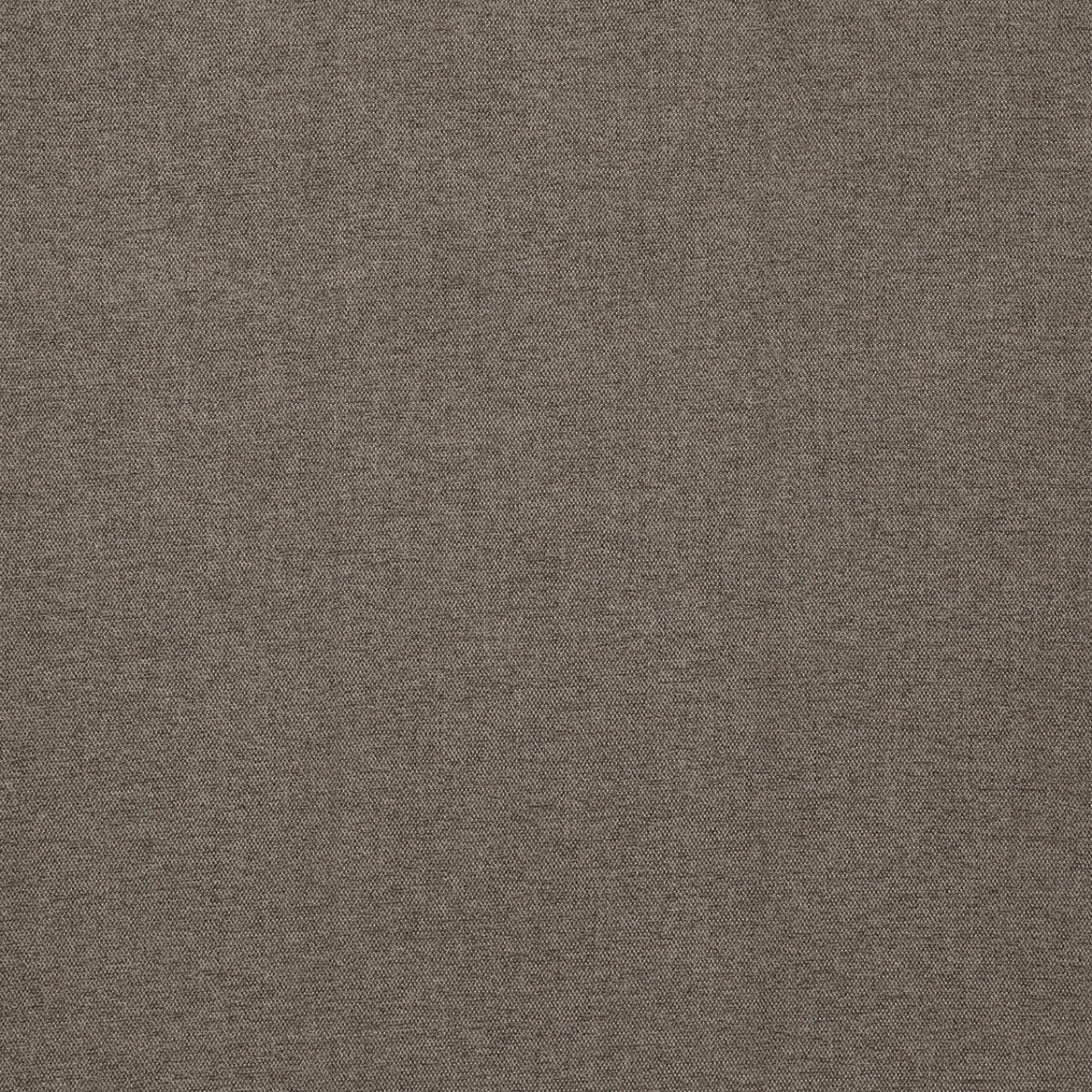  Портьерная ткань SARA FUMA, ширина 300 см  - Фото